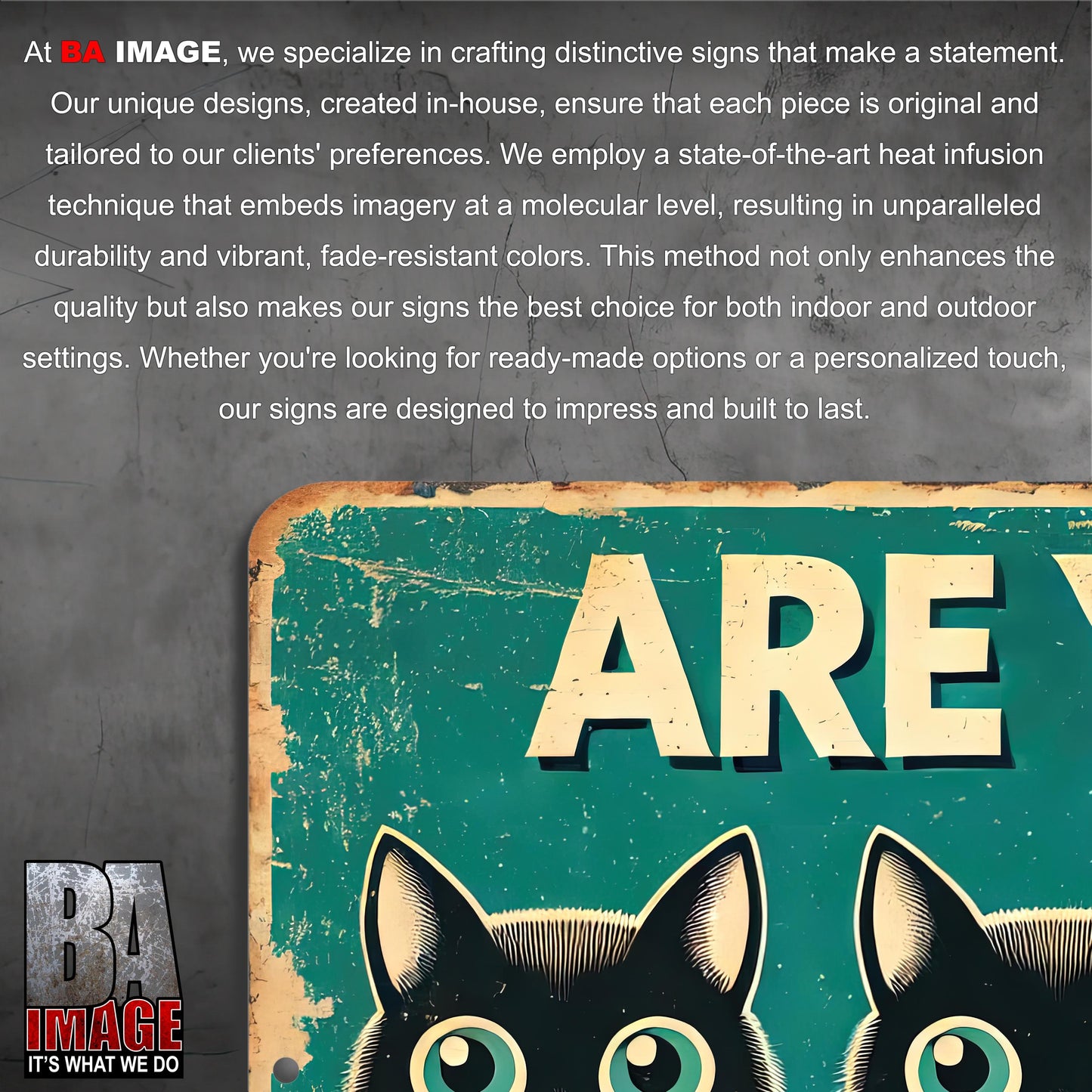 Funny Are You Pooping Cat Sign – 9x12 or 12x18 – Metal Aluminum Sign – for Cat Lovers – Indoor/Outdoor Use